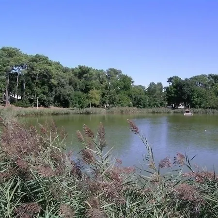 La Palmyre 2 *