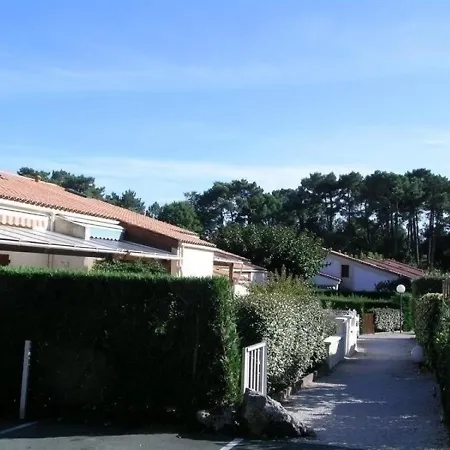 La Palmyre 2